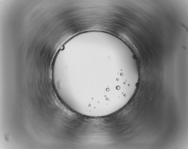 X0000102530900200808291817