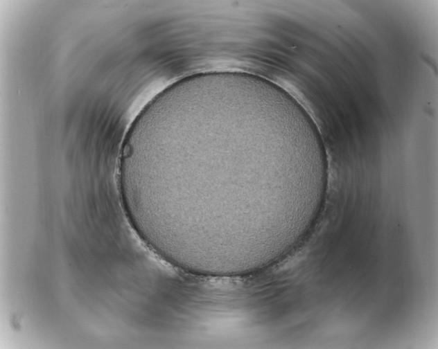 X0000102530901200808291817