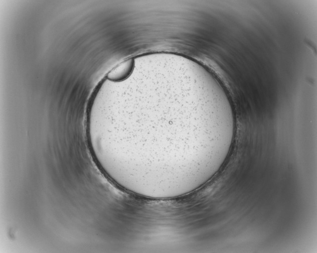X0000102530902200808291817