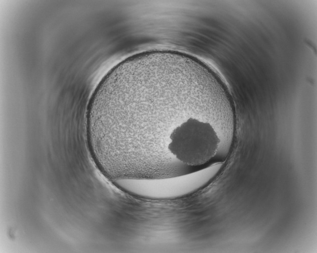 X0000102530903200808291817