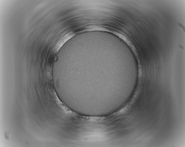 X0000102530905200808291817