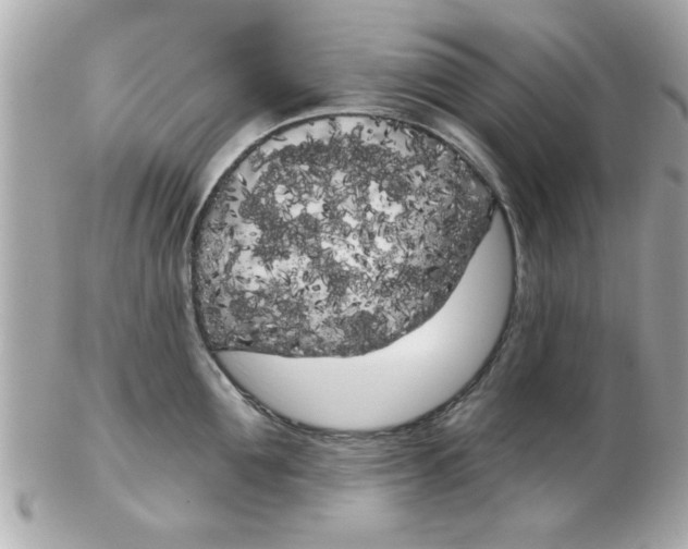 X0000102530907200808291817