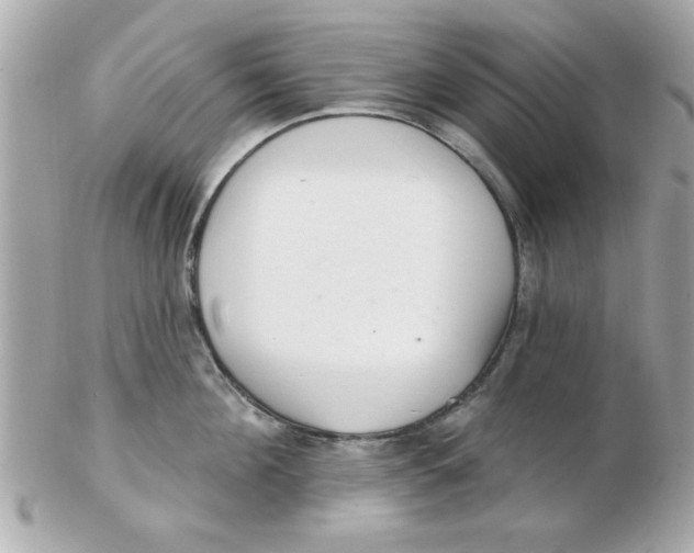 X0000102530908200808291817
