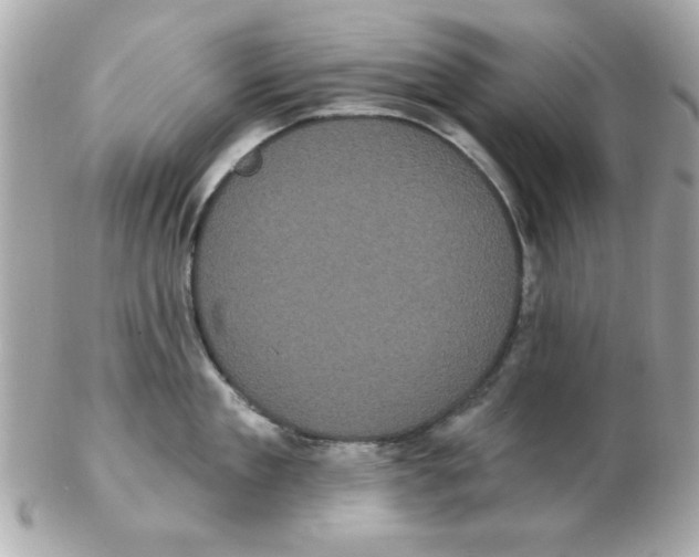 X0000102530909200808291817