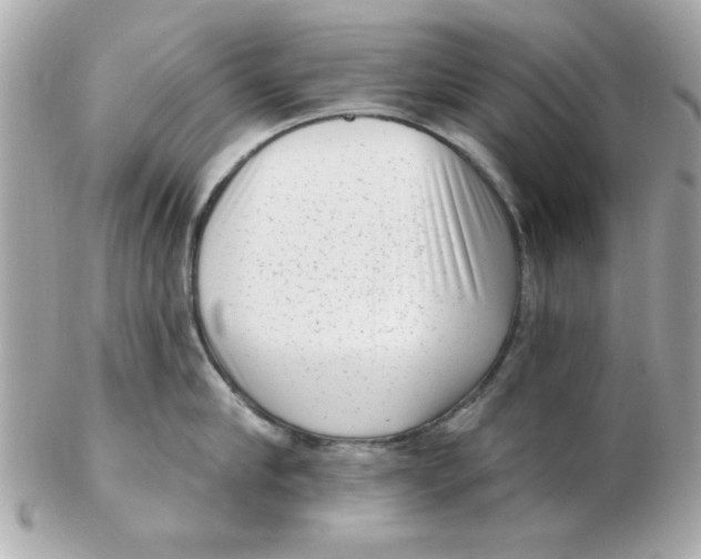 X0000102530910200808291817