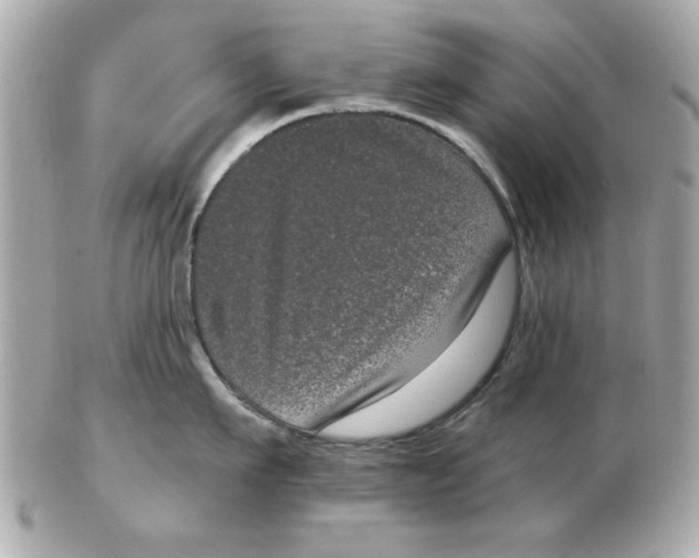 X0000102530911200808291817