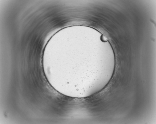 X0000102530912200808291817