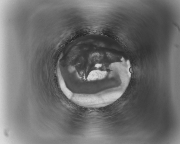 X0000102530913200808291816