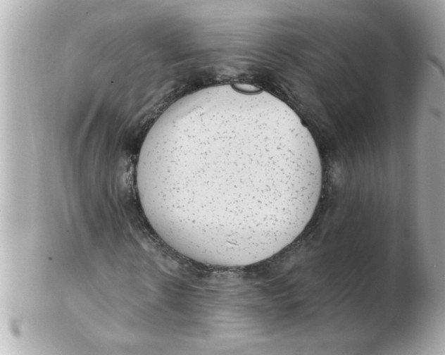 X0000102530914200808291816