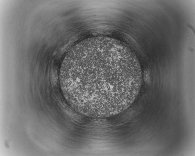 X0000102530915200808291816