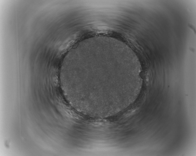 X0000102530916200808291816