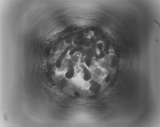 X0000102530917200808291816