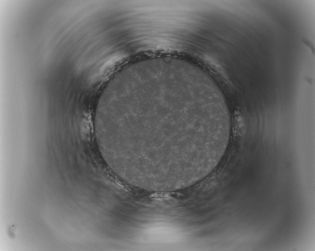 X0000102530918200808291816