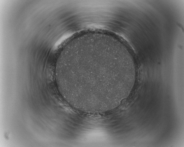 X0000102530919200808291816