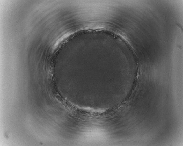 X0000102530920200808291816