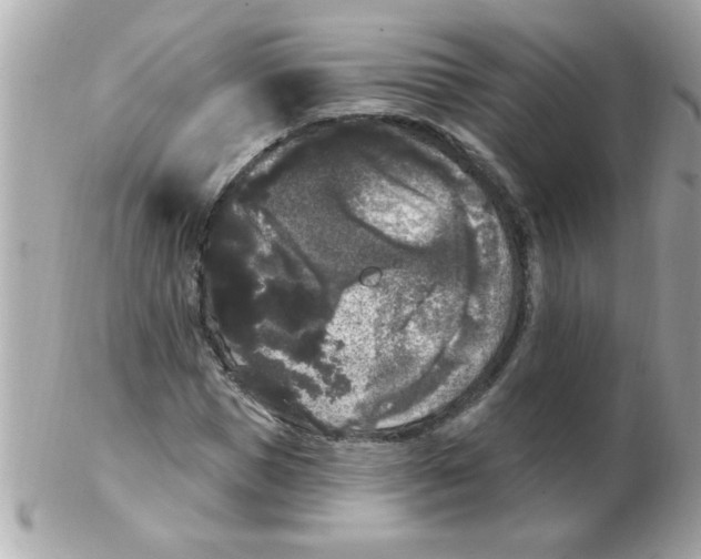 X0000102530921200808291816