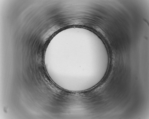 X0000102530922200808291816