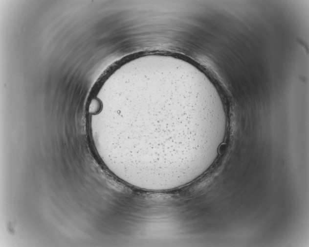 X0000102530924200808291816