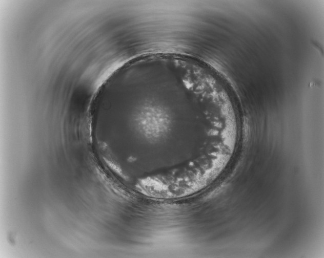 X0000102530925200808291816