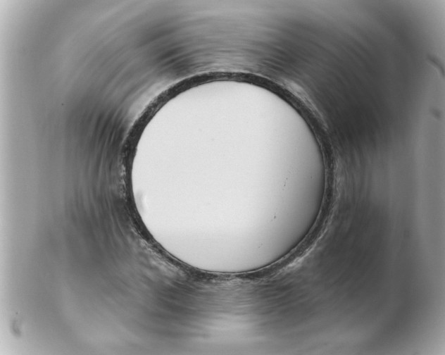 X0000102530926200808291817