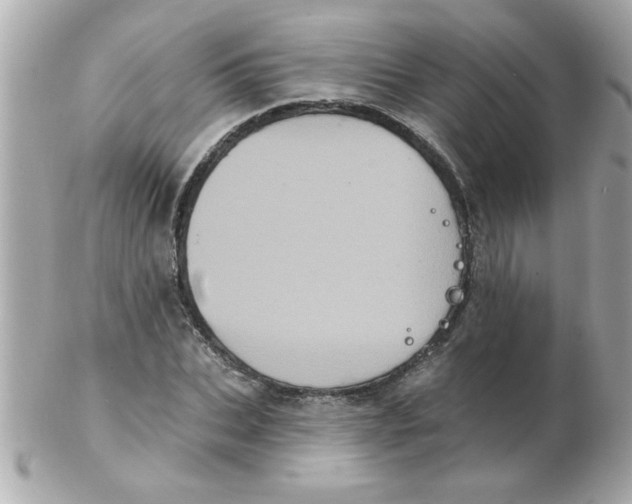 X0000102530927200808291817