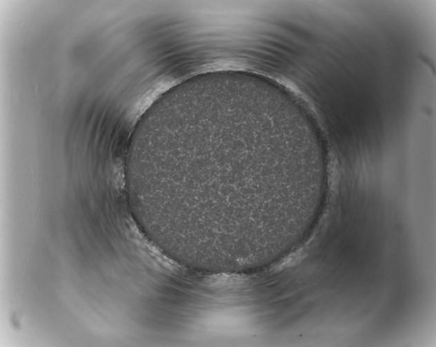 X0000102530929200808291817