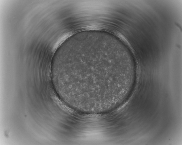 X0000102530930200808291817