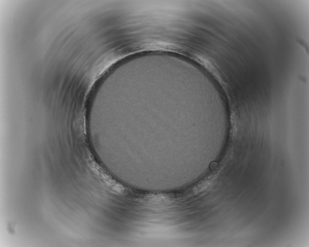 X0000102530931200808291817