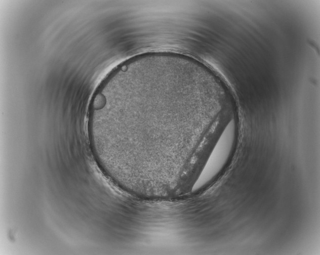 X0000102530932200808291817