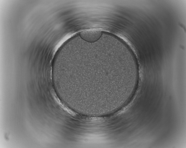 X0000102530933200808291817