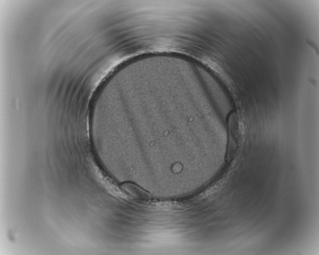 X0000102530934200808291817