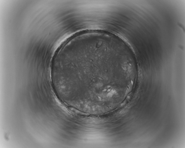 X0000102530935200808291817