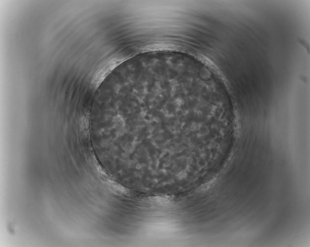 X0000102530937200808291817