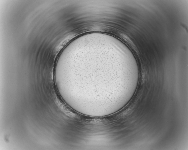 X0000102530938200808291817