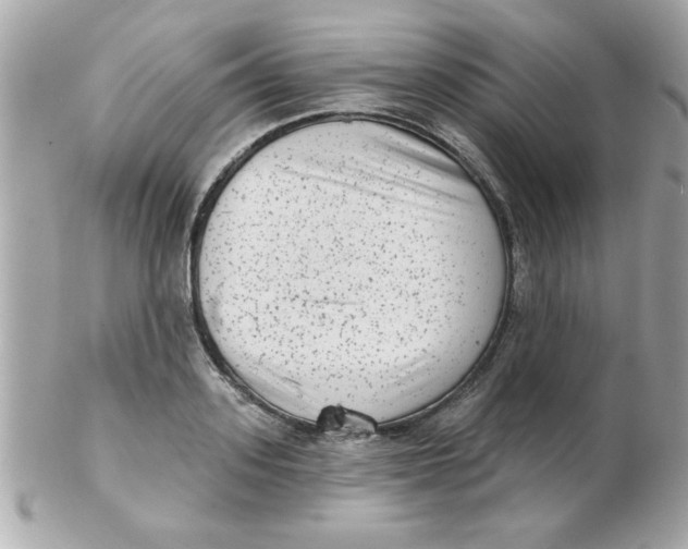 X0000102530939200808291817