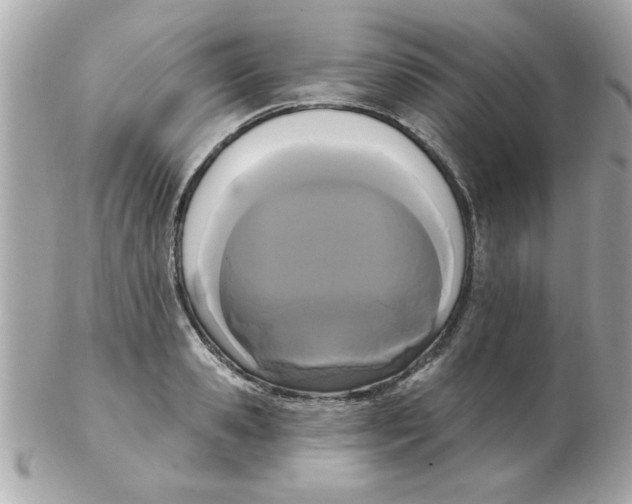 X0000102530941200808291817