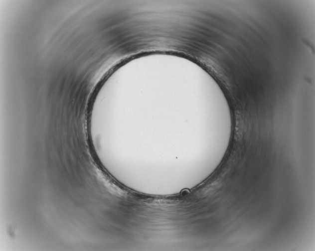 X0000102530942200808291817