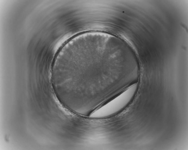 X0000102530944200808291817