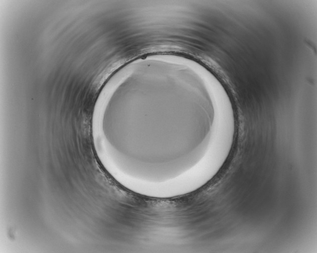 X0000102530945200808291817