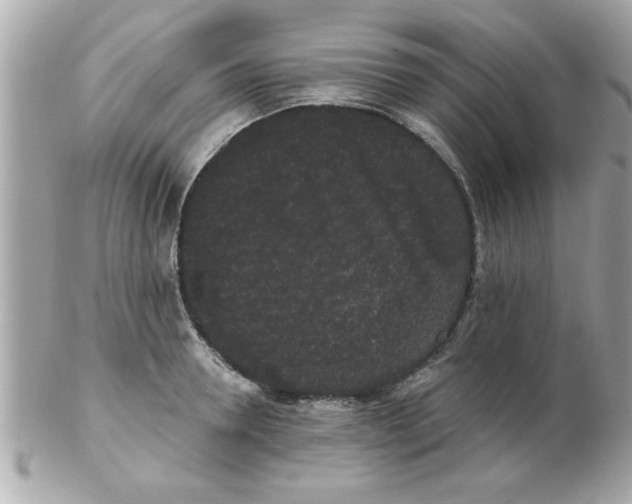 X0000102530946200808291817