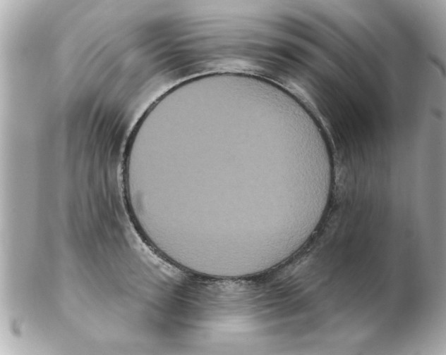 X0000102530947200808291817