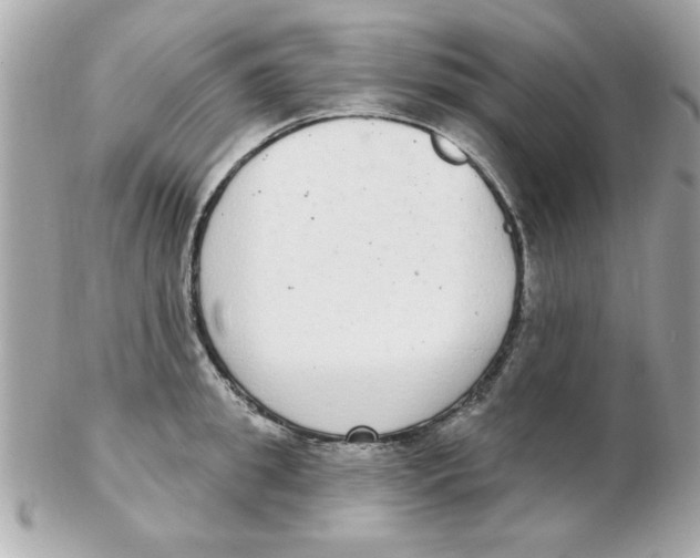 X0000102530949200808291817