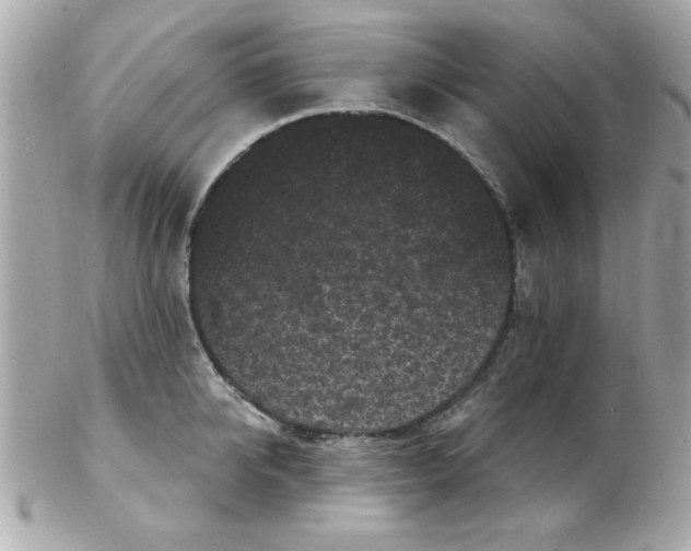 X0000102530950200808291817