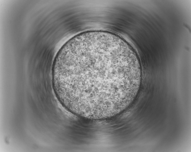 X0000102530951200808291817