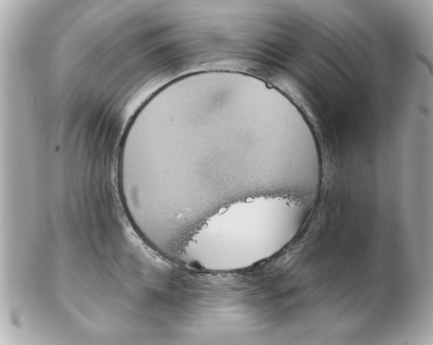 X0000102530952200808291817