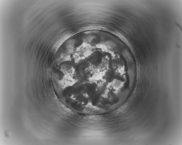 X0000102530953200808291817