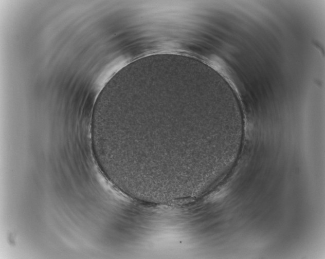 X0000102530954200808291817