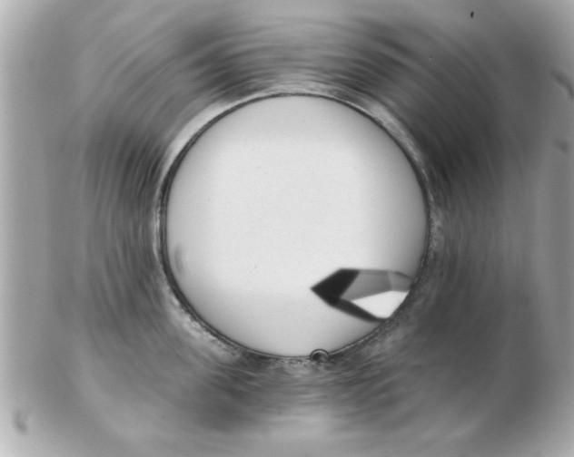 X0000102530955200808291817