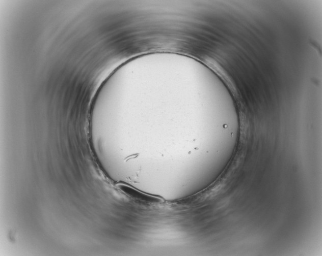 X0000102530956200808291817