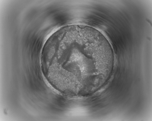 X0000102530957200808291817